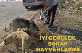 İYİ GENÇLER, SOKAK HAYVANLARINI UNUTMADI