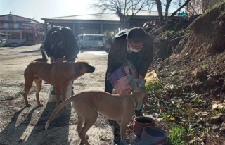 Karacasu’Da Başkan İnal Can Dostları Unutmadı...