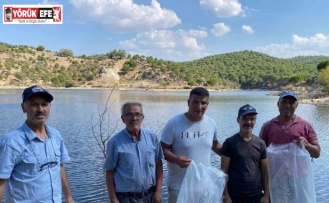 Gözkayası Göleti’ne sazan yavruları bırakıldı