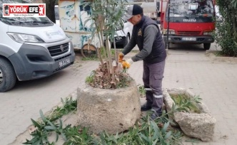 Köşk Belediyesi, mahallelerde çalışmalarını sürdürüyor