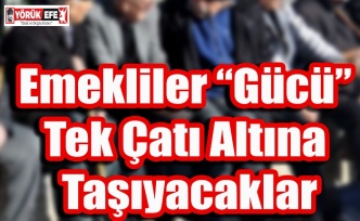 Emekliler Gücü Tek Çatı Altına Taşıyacaklar