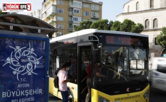 Sarı civcivler, Aydınlıları ’AydınFest’e taşıyacak