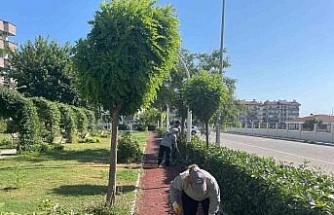 Söke Belediyesi park ve bahçeleri pırıl pırıl yapıyor