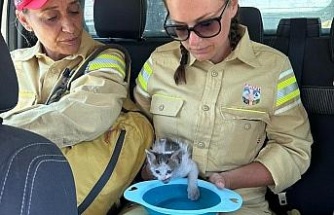 AKUT Kuşadası ekibi, orman yangının ardından hayvanlara destek sağladı