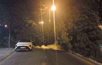 Aydın’da devrilen araç park halindeki otomobile zarar verdi