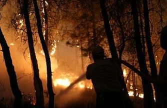 Bakan Yumaklı: "Bozdoğan’daki yangın büyük ölçüde kontrol altına alındı"