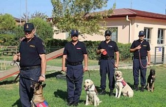 Jandarmanın hassas burunları, suçluların korkulu rüyası oldu