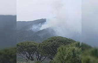 Bozdoğan’da orman yangını