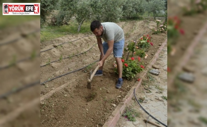 Sultanhisar’da fidanlar toprakla buluştu