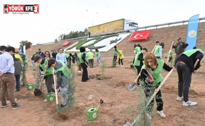 Aydın’da binlerce fidan toprakla buluşacak